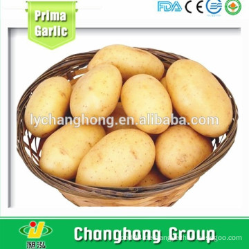 Export neue frische Kartoffel (70-100g, 80-150g, 100-200g, 200g hoch)